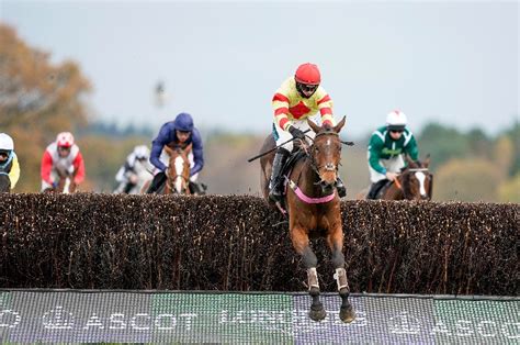 Timeform's guide to the 2021 Ladbrokes Trophy .